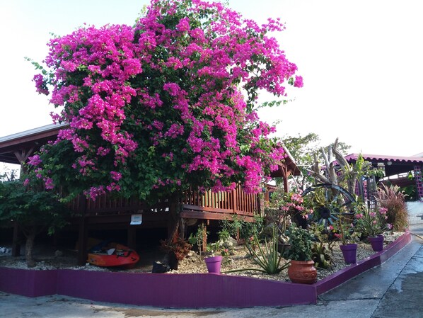 Enceinte de l’hébergement