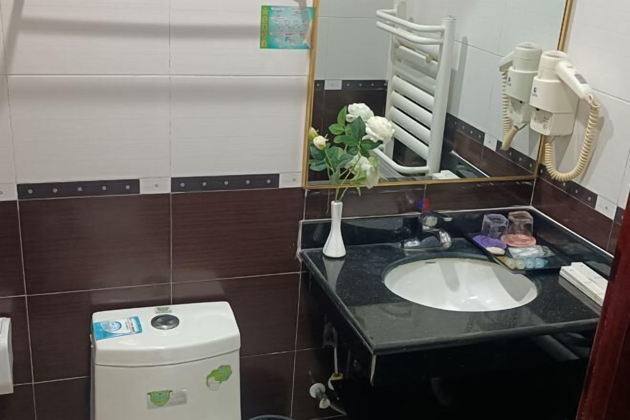 A bathroom with a white toilet, a black sink, a mirror, and a towel rack.
