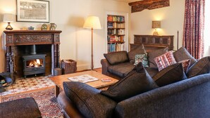 Un salon chaleureux avec une cheminée, un ensemble de canapés, une bibliothèque et un tapis à motifs.