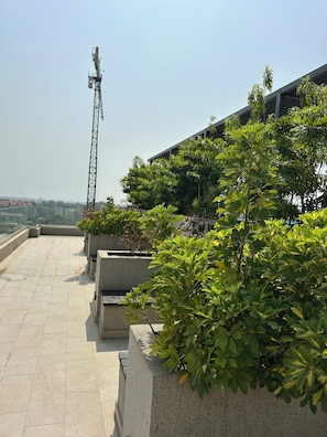 Une terrasse sur le toit, agrémentée de plantes en pot, avec une grue en arrière-plan et une vue sur le paysage urbain.