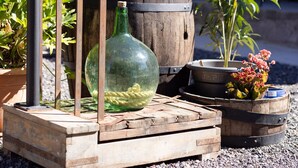 A rustic outdoor setting with a wooden barrel, a metal pump, and potted plants. - Las Latas del Almendro 1 (Santiago del Teide)