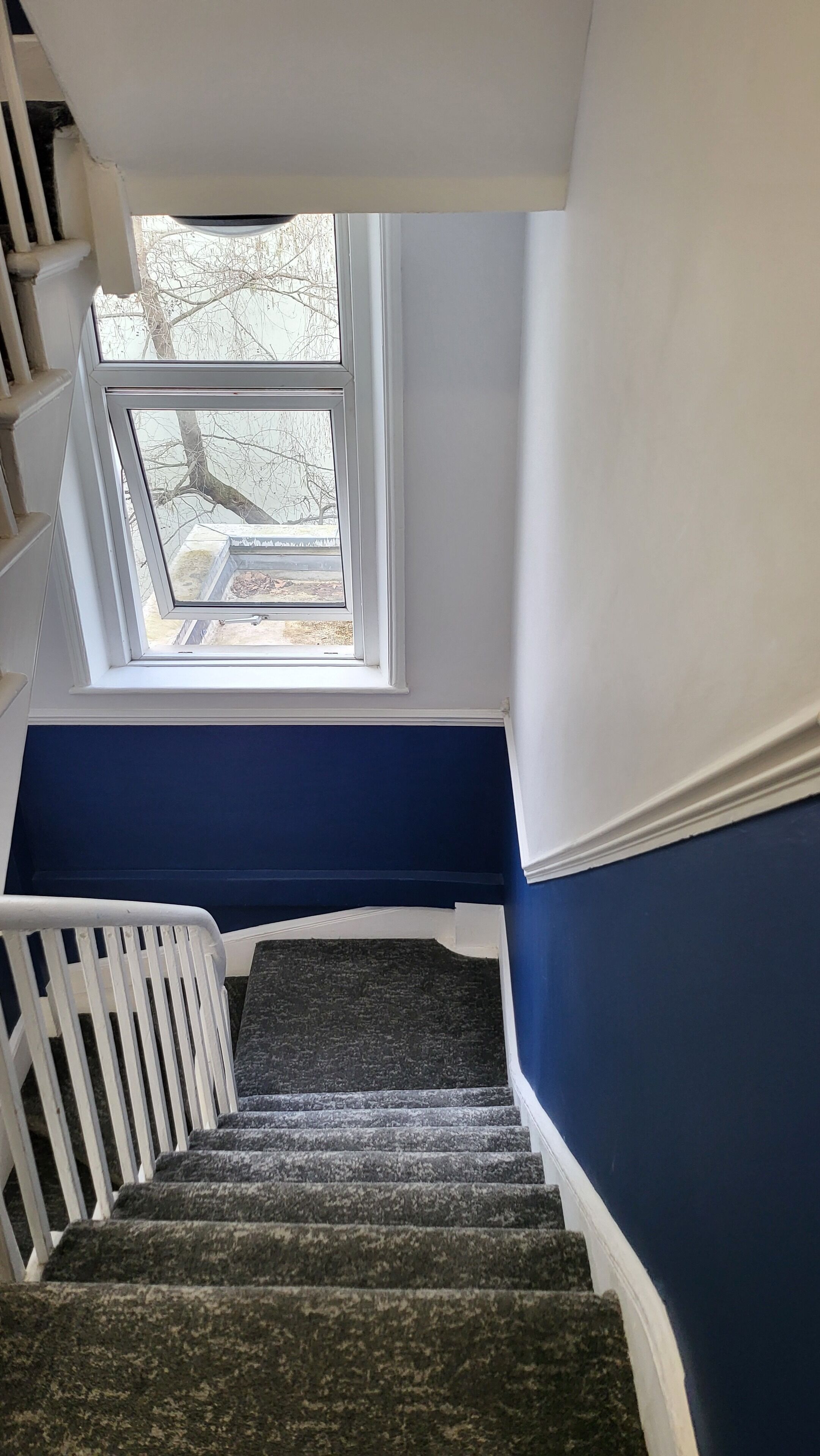 A staircase with a carpeted landing and a view of trees outside through a window.