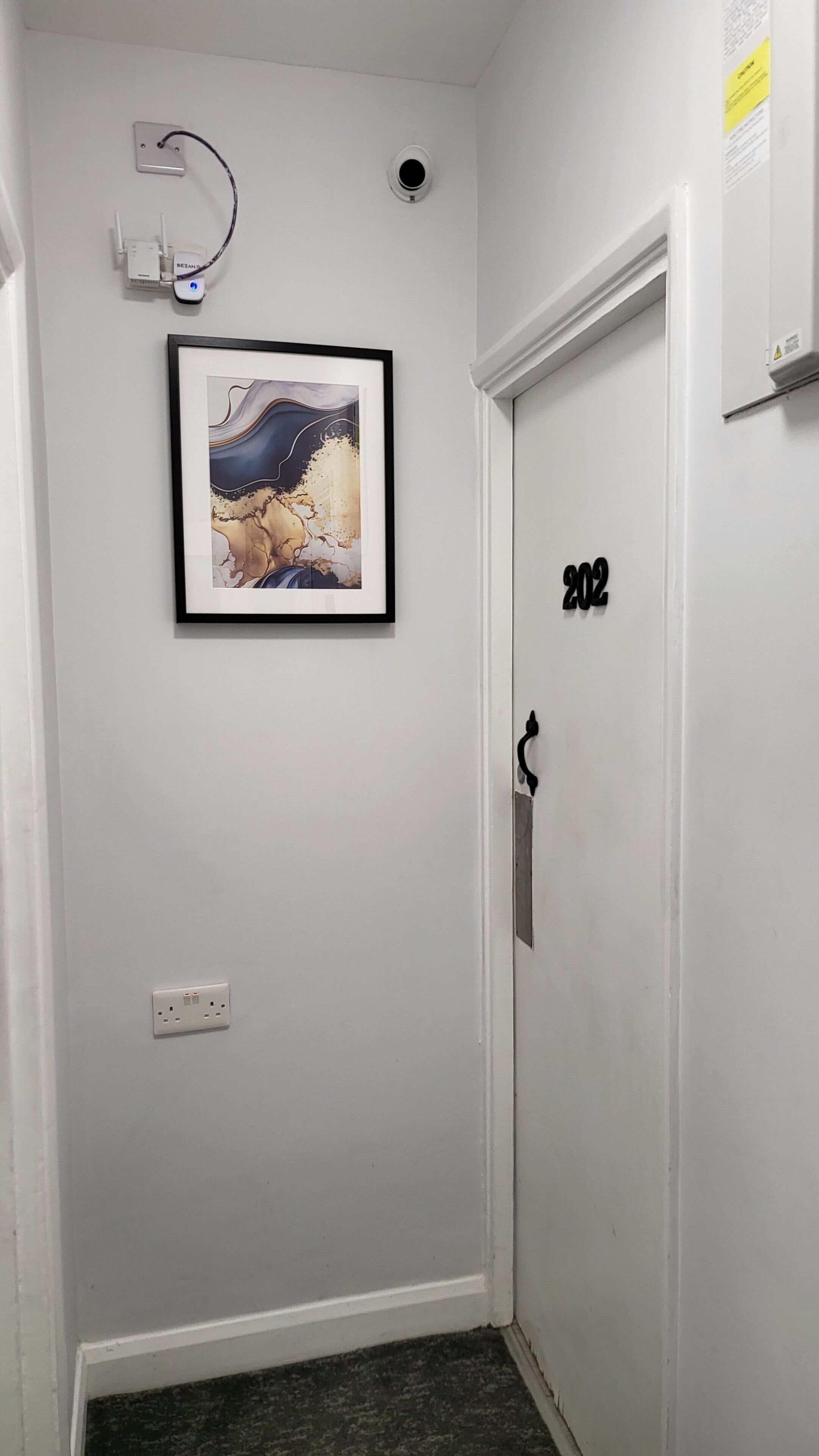 A hallway with a framed abstract painting, a door labeled "202", and a smoke detector on the wall.