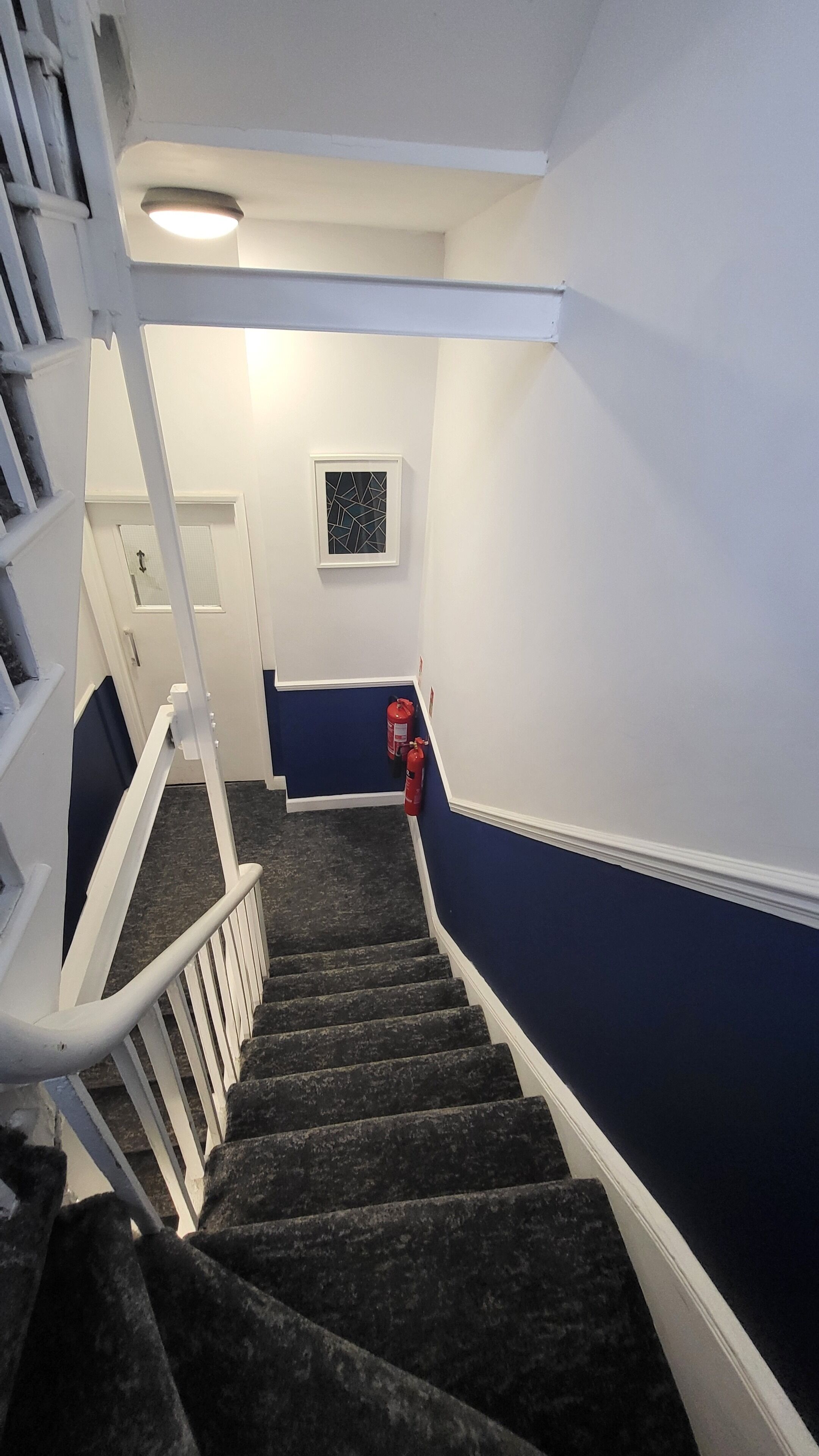 A staircase with dark carpeted steps, white railings, and blue walls.