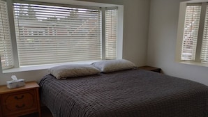 Une chambre à coucher avec un lit, deux oreillers, une table de chevet avec une boîte de mouchoirs et une fenêtre avec des stores.