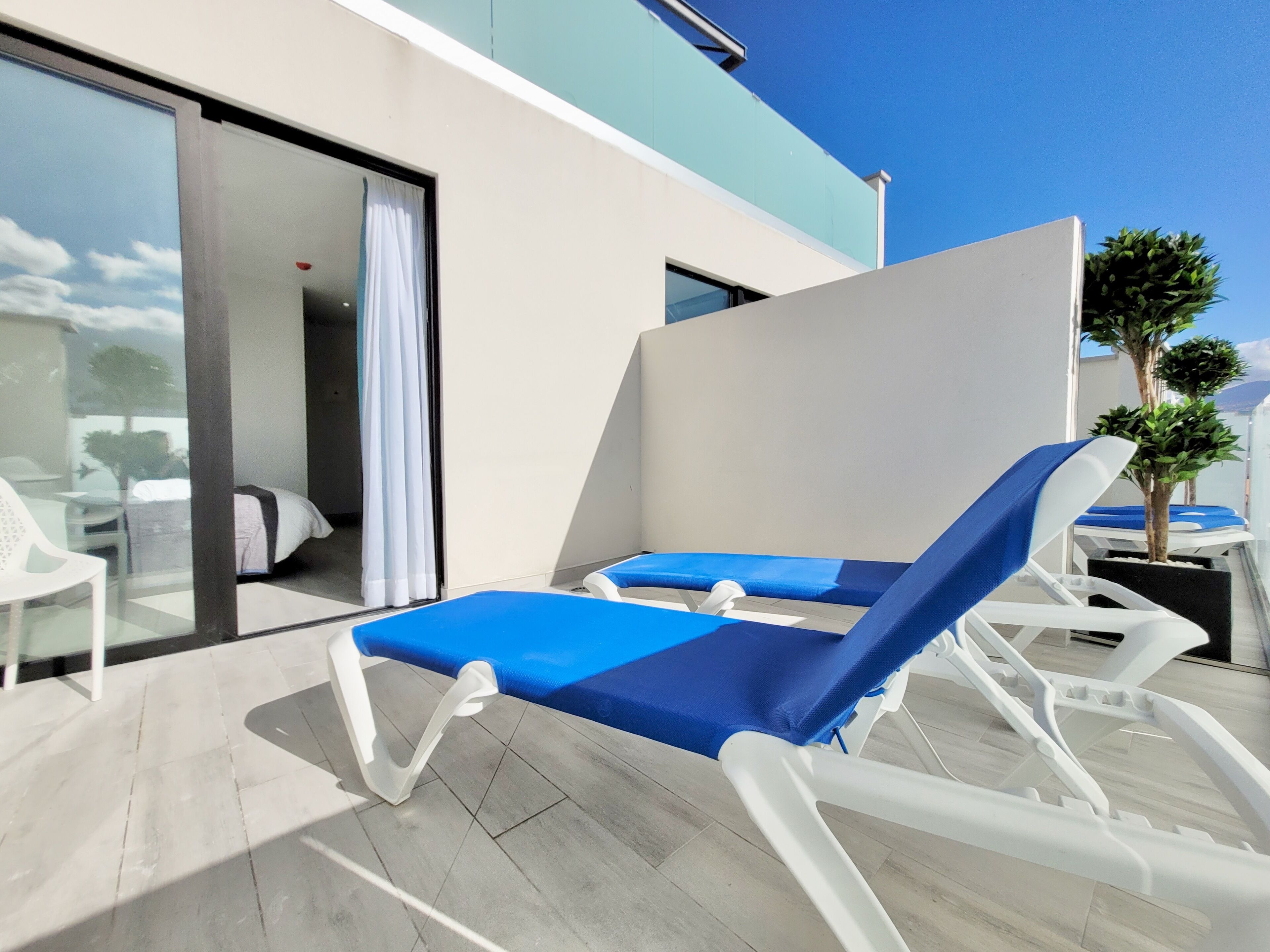 Un área lounge moderna al aire libre con dos tumbonas azules y blancas, un ventanal que da a una habitación y una pequeña planta en maceta.
