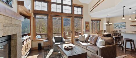 Smart TV, fireplace, books