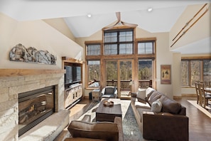 Smart TV, fireplace, books