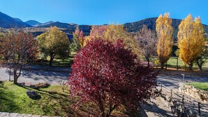 Une route bordée d’arbres aux couleurs automnales, un ciel dégagé et des montagnes en arrière-plan.
