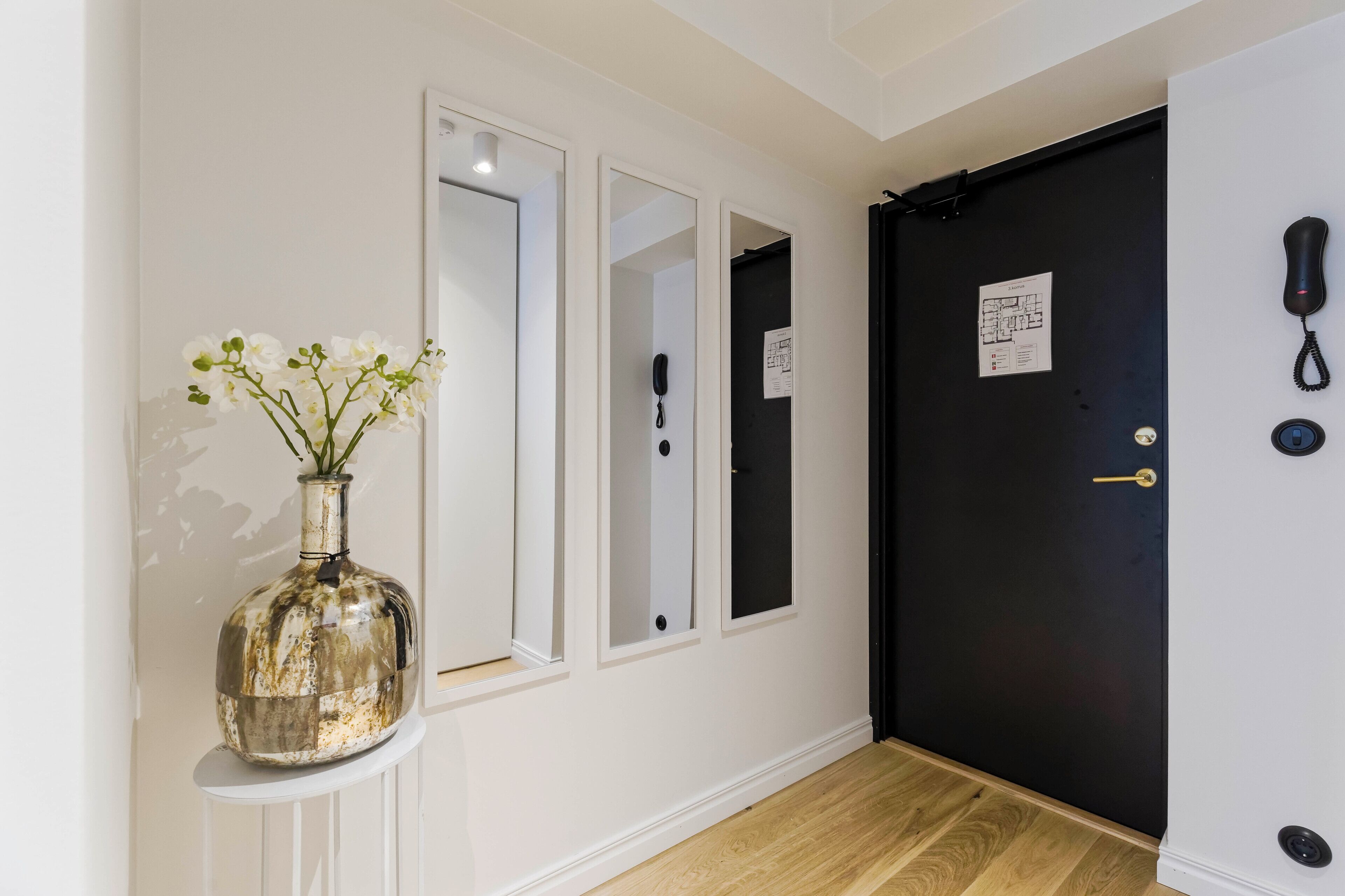 A hallway with a black door, a phone, and a mirror.