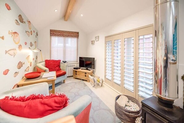 تلفزيون، مدفأة