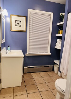 Combined shower/bathtub, hair dryer, towels, soap
