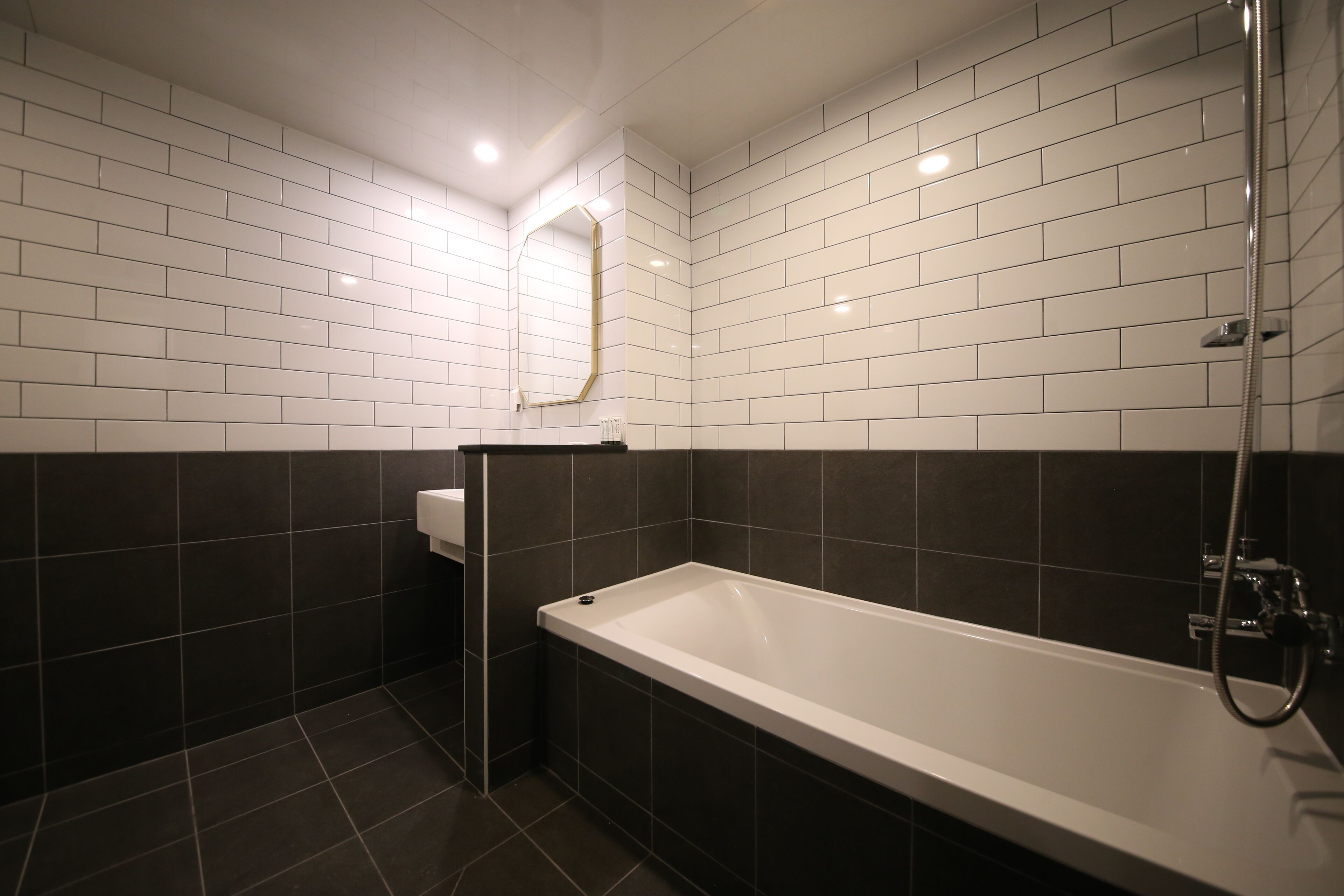 Standard Room | Bathroom