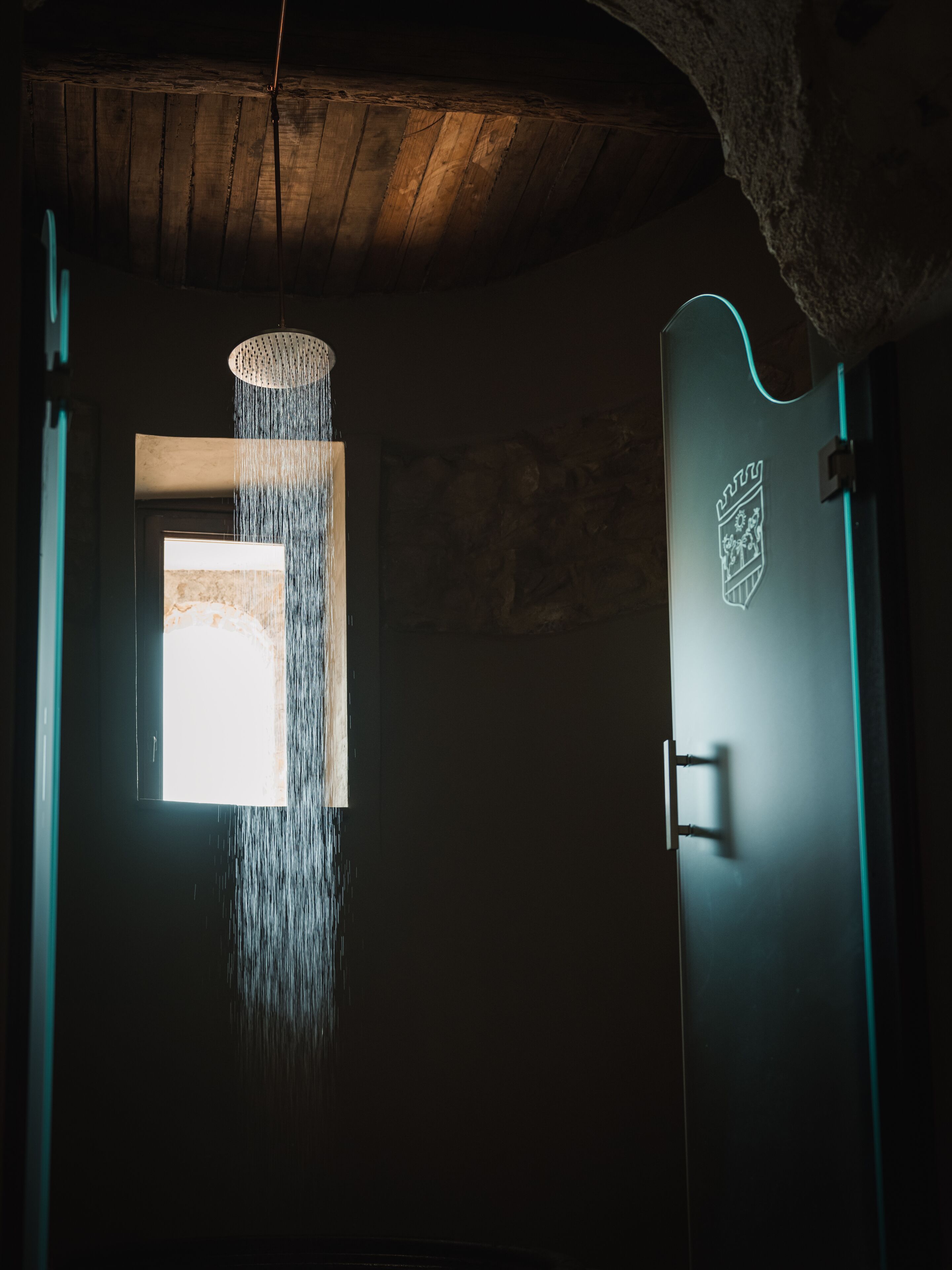 A room with a wooden ceiling, a window with water cascading down, and a door with a crest emblem.