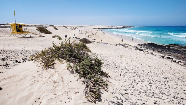 A beach with a lifeguard tower, sandy dunes, and the ocean. - Vacation Home "Villa Lucila" with Sea View, Garden & Wi-Fi (Corralejo)