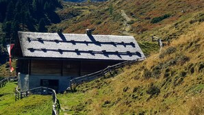 Eksteriør