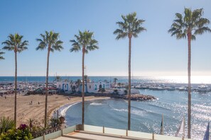 A coastal view with palm trees, a beach, and a marina.