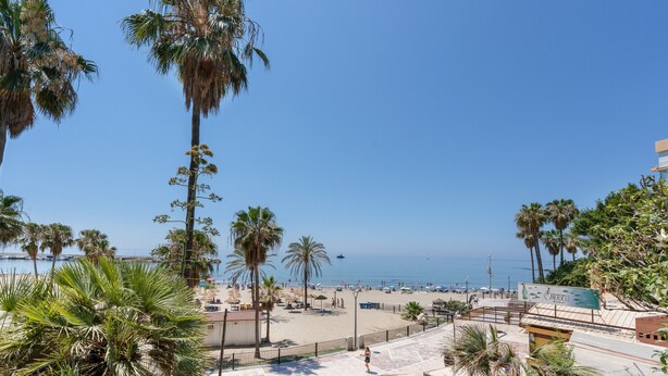 Blick auf einen Strand mit Palmen, einem klaren Himmel und einem Schiff in der Ferne.