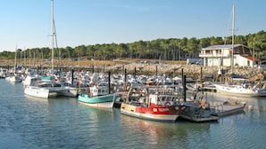 Un port de plaisance où sont amarrés de nombreux bateaux, une côte rocheuse et un bâtiment doté d’un balcon.