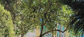 Quiet furnished apartment