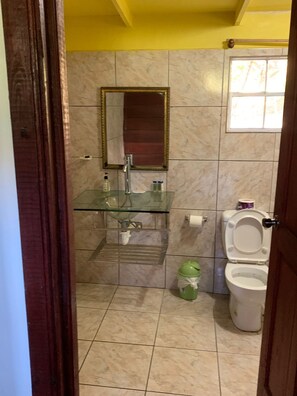 Douche, serviettes fournies, savon, papier toilette