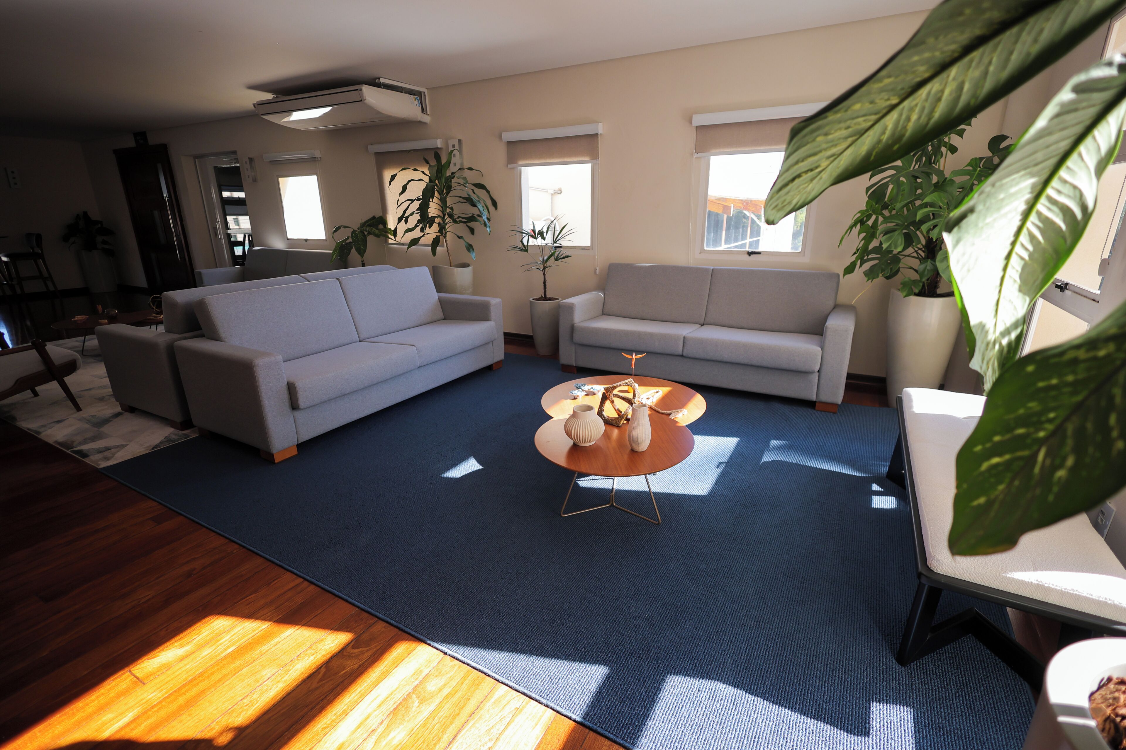 A living room with two sofas, a coffee table, and potted plants.