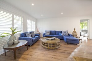 Televisión, chimenea y libros 