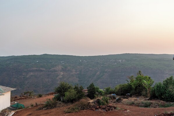 A rural landscape with a dirt path, sparse vegetation, and a distant hill.