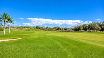 A golf course with a clear sky, palm trees, and a well-maintained green field.