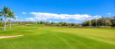 Un campo de golf con cielo despejado, palmeras y un césped bien cuidado.