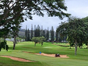 Golf - KBM Resorts | FREE CAR | Kapalua Golf Villa | Ocean view | 1-Bedroom Condo, Recently Remodeled! KGV-17T5 (Lahaina)
