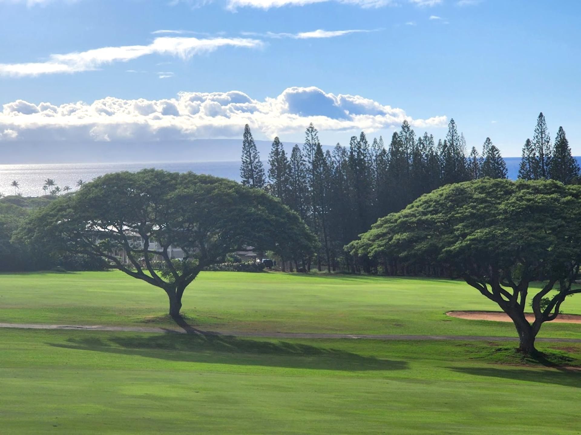 This is more than a view—it’s a feeling of grounding, a breath of fresh air, and a gentle reminder of life’s quiet joys   