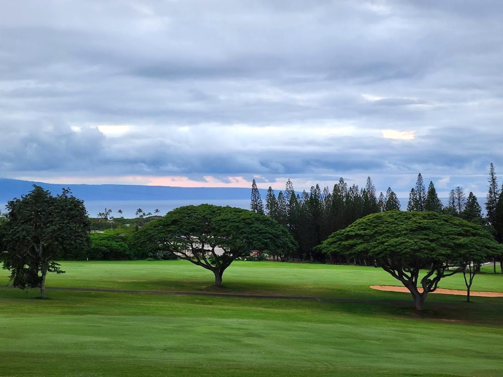 Un campo de golf con tres árboles destacados, un césped bien cuidado y un telón de fondo de bosque denso y montañas.