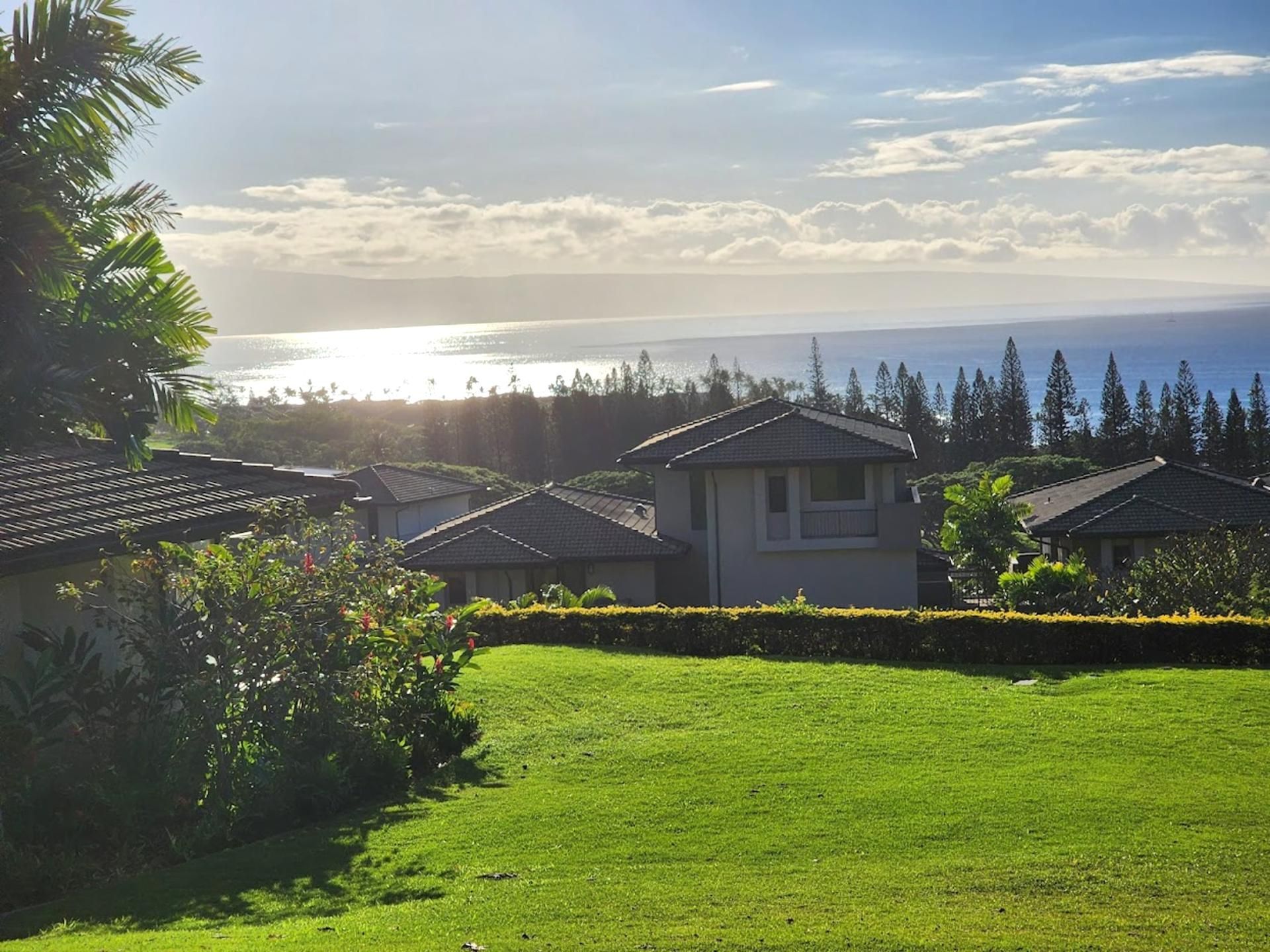 A residential area with houses, a well-maintained lawn, and a view of the ocean.