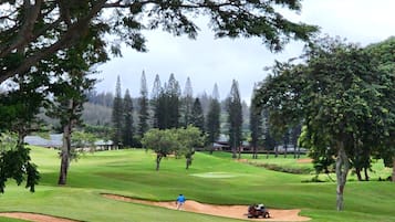 From your lanai to the lush expanse beyond, each moment here flows with grace, light, and the luxury of simplicity