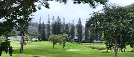 From your lanai to the lush expanse beyond, each moment here flows with grace, light, and the luxury of simplicity