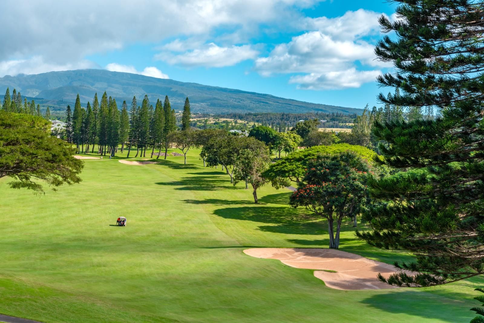 Un campo de golf con vistas despejadas del paisaje circundante, incluyendo árboles y montañas distantes.