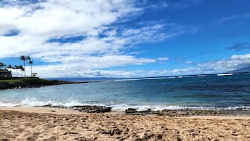 A beach with clear skies, ocean waves, and palm trees.