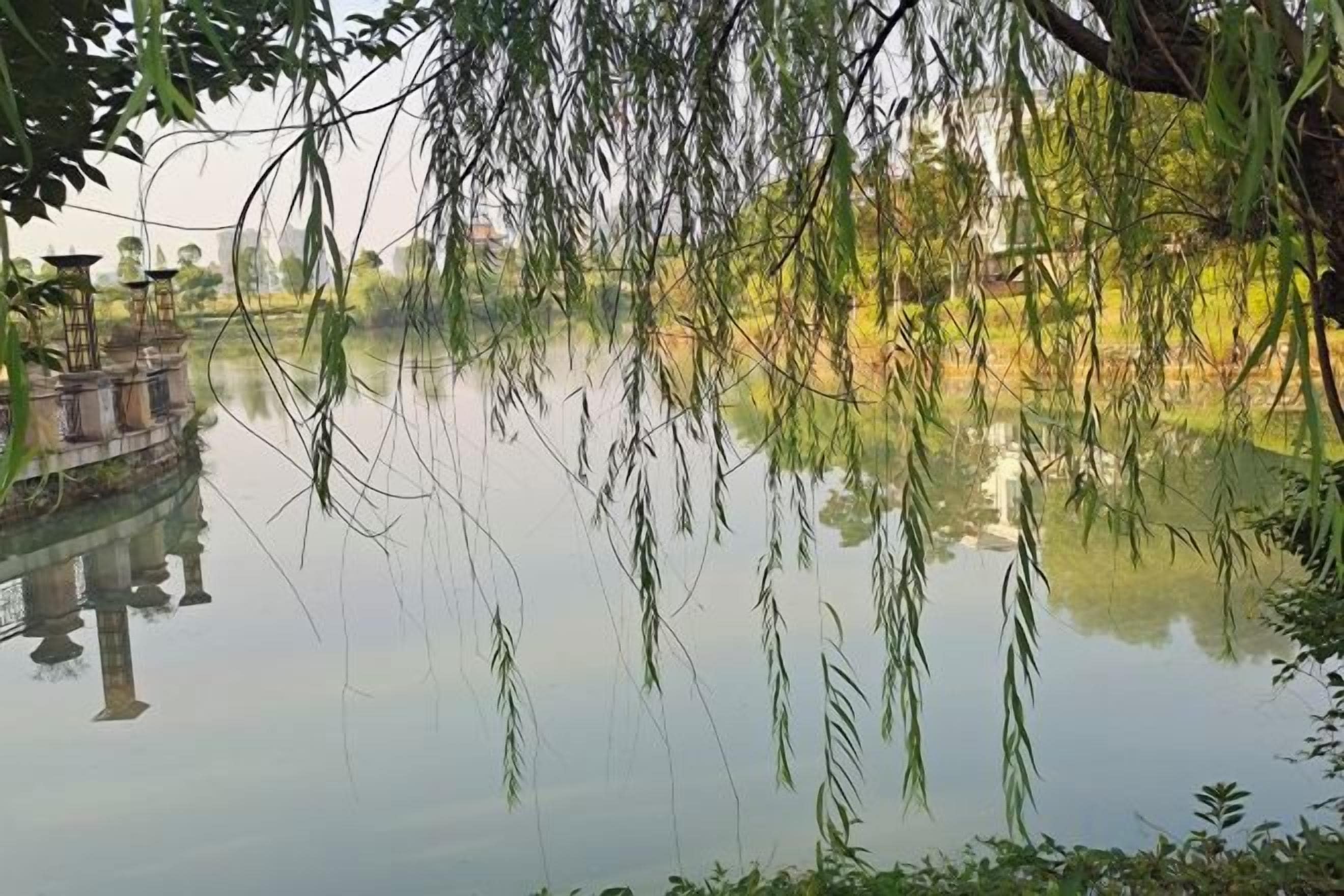 منوع