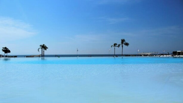A clear blue pool with palm trees and a view of the ocean.