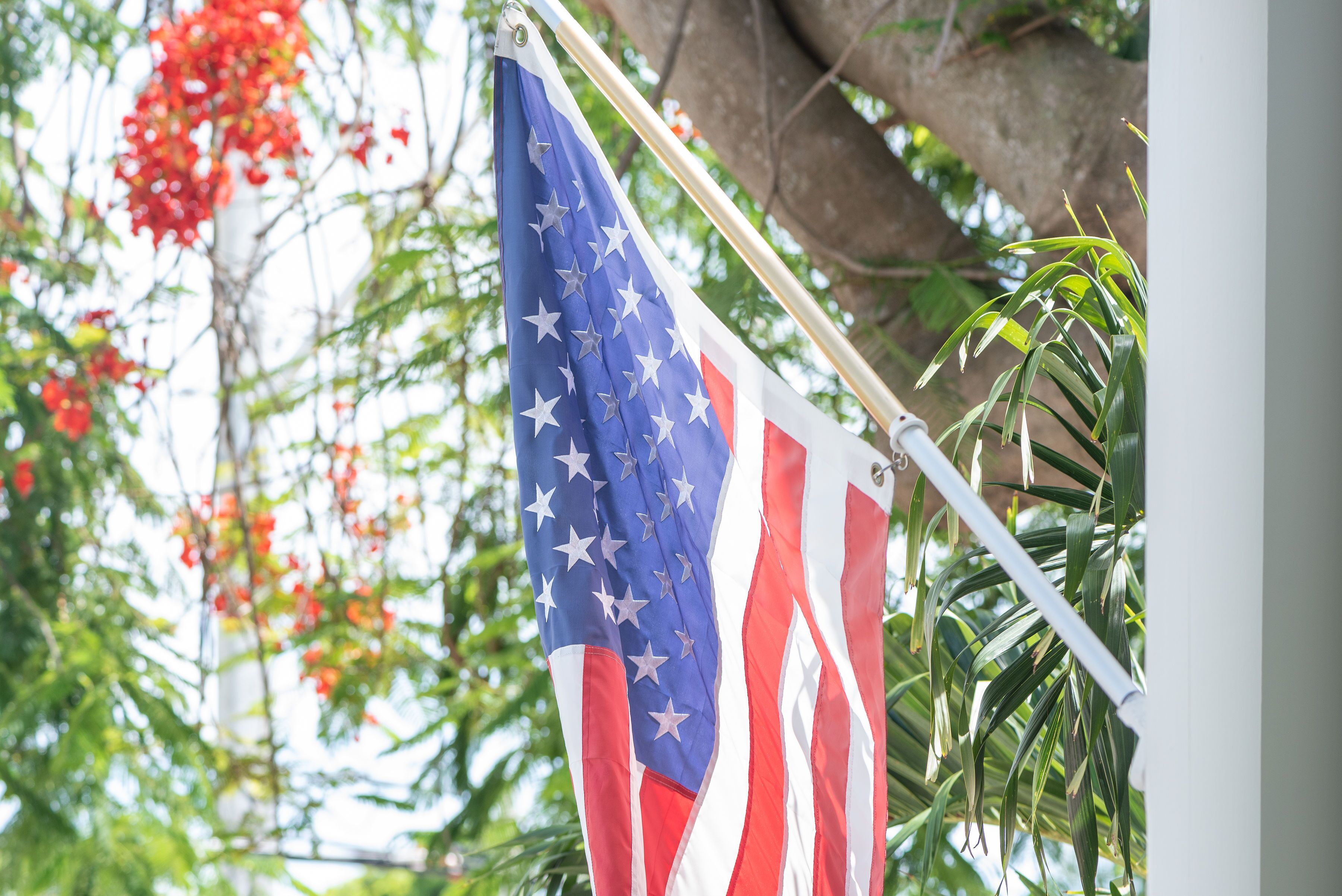 An American flag mounted on a flagpole with a tree and red flowers in the background.