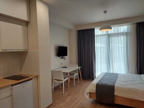 1 bedroom, WiFi - Bakuriani apartment m25 (517) (bakuriani)