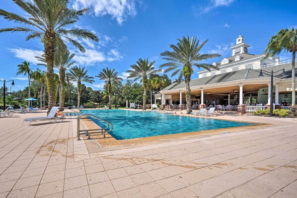 A swimming pool with lounge chairs and palm trees.