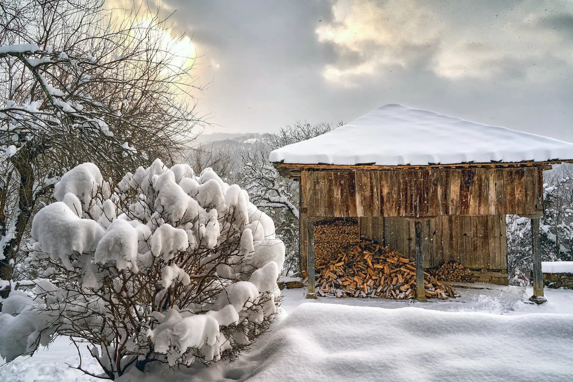 A rustic wooden cabin with a snow-covered roof, surrounded by snow-laden trees and a pile of firewood.
