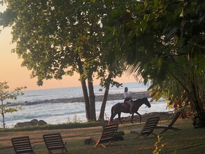 على الشاطئ، مناشف للشاطئ