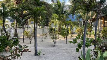 Un jardín con palmeras y una cerca blanca.