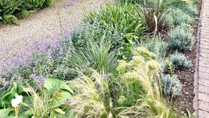 A garden with a variety of plants and a wooden fence. - Luxury Chilterns Hideaway, Easy Access to London (Reading)