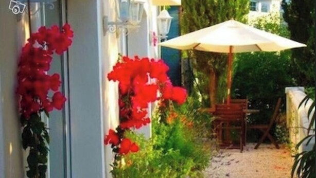 A garden pathway with a wooden bench and a white umbrella.