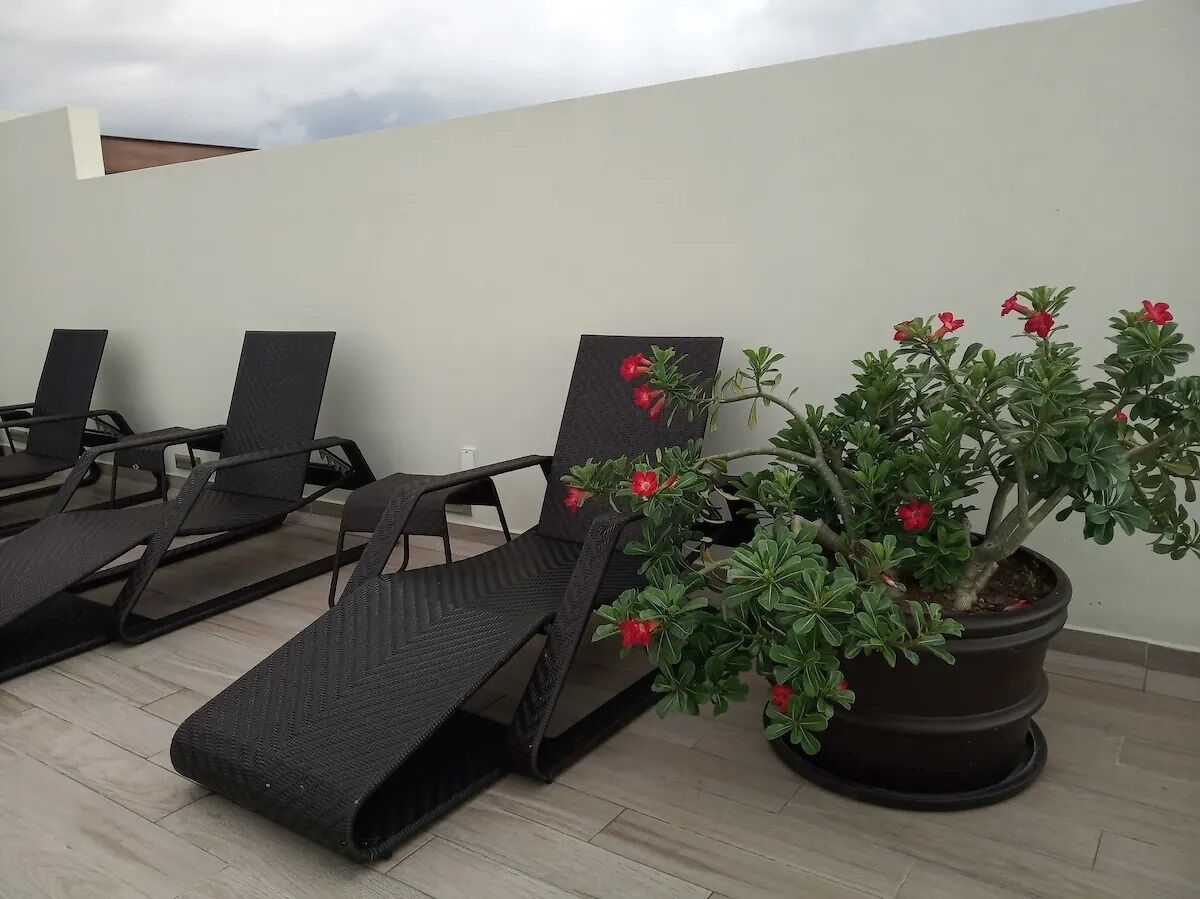 Een terras op het dak met meerdere zwarte loungestoelen en een potplant met rode bloemen.