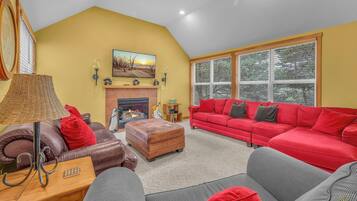 TV connectée, cheminée, jeux vidéo, lecteur de DVD